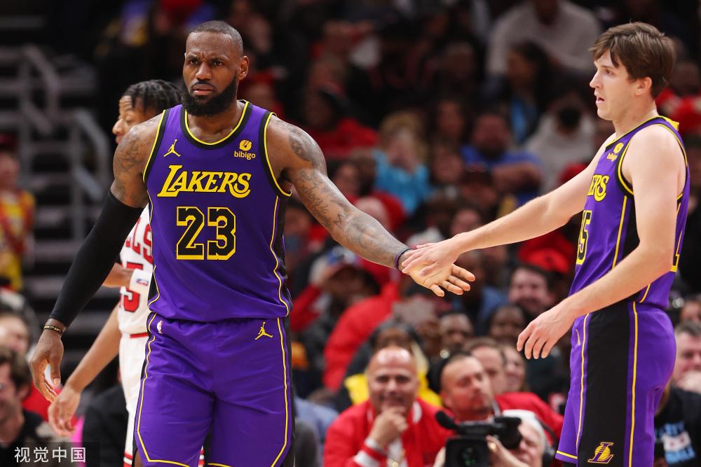 的多样性 的多样性